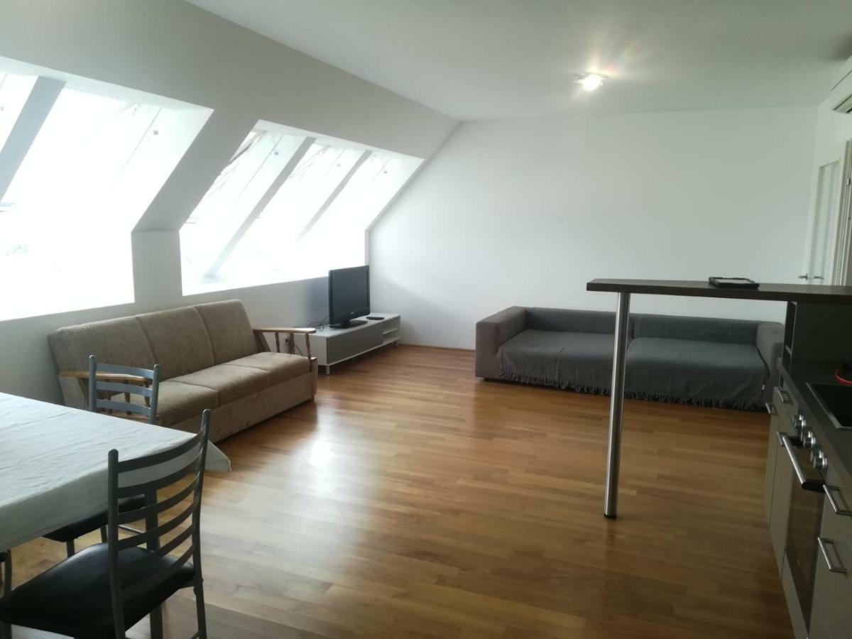 Apartament Roof Top With Views. Viena