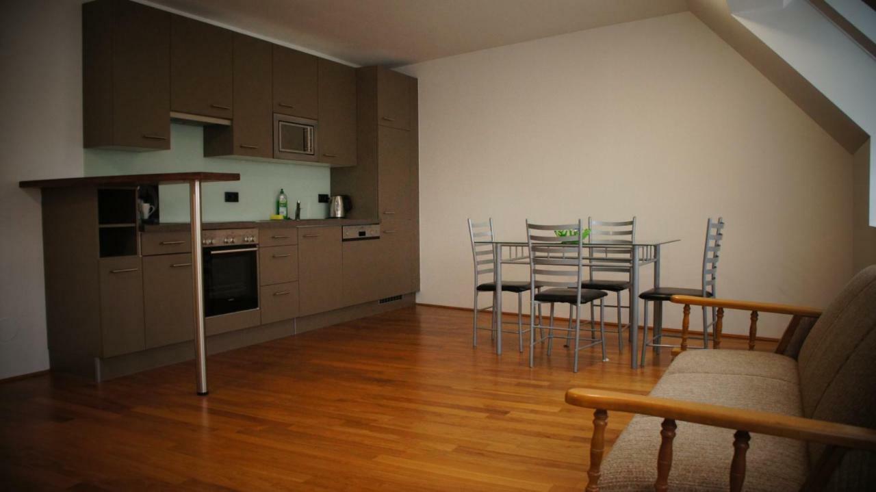 Apartament Roof Top With Views. Viena